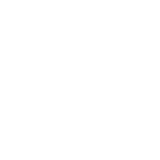 Elm City Social