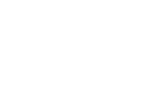 Olives & Oil